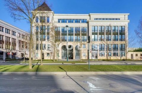 Bureaux - A LOUER - 1&nbsp;624 m&sup2; divisibles &agrave; partir de 111 m&sup2; 24368 77700 Chessy