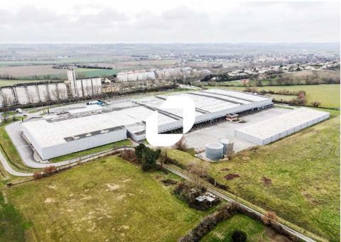 Entrepôts - A LOUER - 4 280 m² non divisibles 17833 31450 Baziege