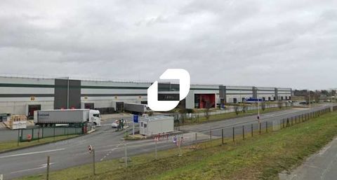 Entrepôts - A LOUER - 12 679 m² divisibles à partir de 6 000 m² 52301 86000 Poitiers