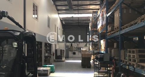 Locaux d'activit&eacute; - A LOUER - 1&nbsp;943 m&sup2; divisibles &agrave; partir de 149 m&sup2; 11334 77165 Saint soupplets