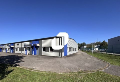 Locaux d'Activit&eacute;s - A LOUER - 300 m&sup2; non divisibles 2275 67118 Geispolsheim
