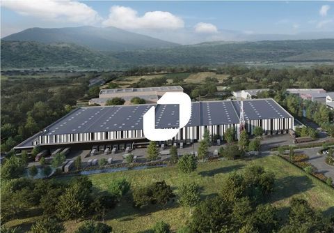 ACCES INDEPENDANT - 6 350 m² non divisibles 39688 67120 Duppigheim