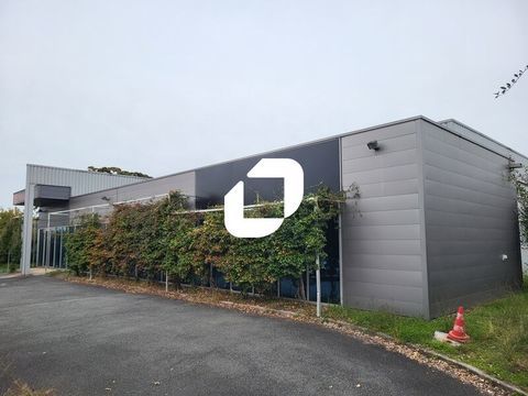 Locaux d'Activités - A VENDRE - 1 021 m² non divisibles 1400000 33140 Villenave d'ornon
