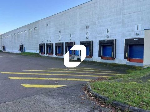 Entrepôts - A LOUER - 2 462 m² non divisibles 9233 10440 Torvilliers
