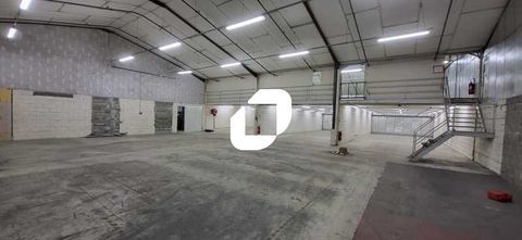 Entrepôts - A LOUER - 1 935 m² divisibles à partir de 800 m² 10159 33140 Villenave d'ornon