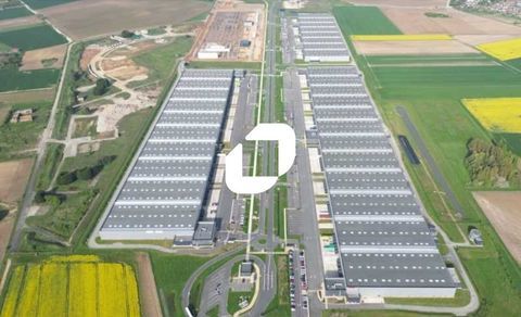 Entrepôts - A LOUER - 37 450 m² divisibles à partir de 6 000 m² 174767 62860 Epinoy