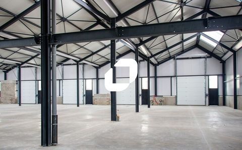 Locaux d'Activités - A VENDRE - 3 530 m² divisibles à partir de 236 m² 6145961 69780 Toussieu