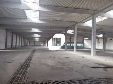 Locaux d'Activit&eacute;s - A LOUER - 7&nbsp;035 m&sup2; divisibles &agrave; partir de 965 m&sup2; 43969 01150 Blyes