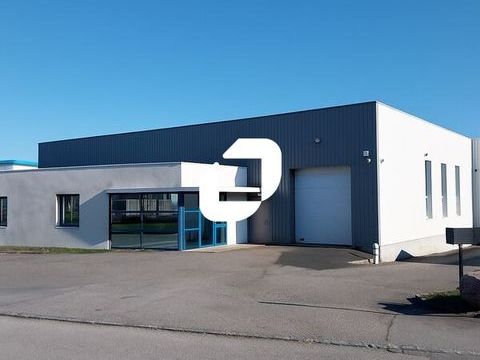 Locaux d'Activit&eacute;s - A LOUER - 1&nbsp;062 m&sup2; non divisibles 5781 44470 Thouare sur loire