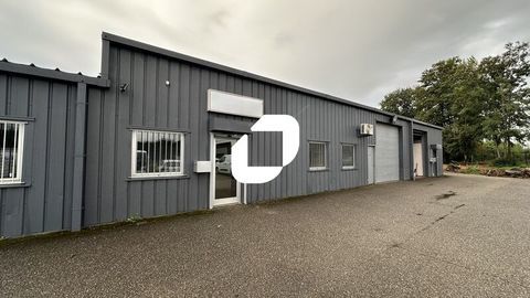 LOCAUX AVEC STOCKAGE EXTERIEUR - 400 m&sup2; non divisibles 2833 67116 Reichstett
