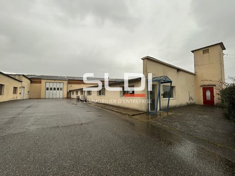 Locaux d'activités - A VENDRE - 4 185 m² non divisibles 2100000 01480 Jassans riottier
