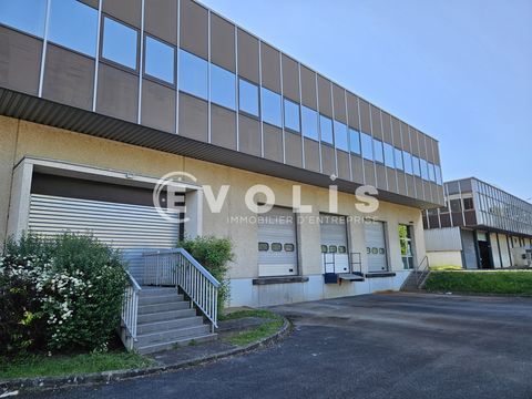 Locaux d'activit&eacute; - A LOUER - 1&nbsp;351 m&sup2; non divisibles 11667 91320 Wissous