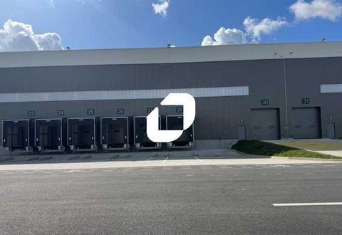 Entrepôts - A LOUER - 25 560 m² divisibles à partir de 12 420 m² 112890 62138 Douvrin