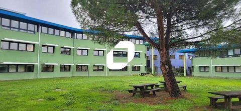 Bureaux - A LOUER - 935 m² divisibles à partir de 112 m² 8969 33610 Canejan