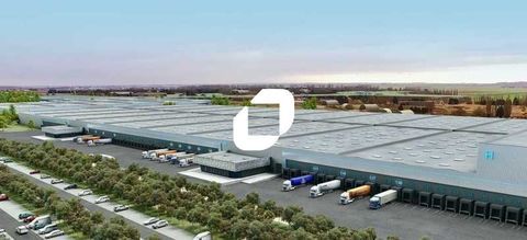 Entrepôts - A LOUER - 11 000 m² non divisibles 110000 62860 Epinoy