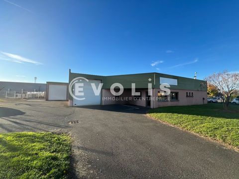 Locaux d'activit&eacute; - A LOUER - 566 m&sup2; non divisibles 3800 69400 Arnas