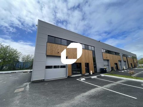 Locaux d'Activités - A VENDRE - 253 m² non divisibles 485632 44115 Basse goulaine
