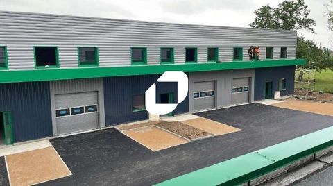 Locaux d'Activit&eacute;s - A LOUER - 460 m&sup2; divisibles &agrave; partir de 230 m&sup2; 3380 38230 Tignieu jameyzieu