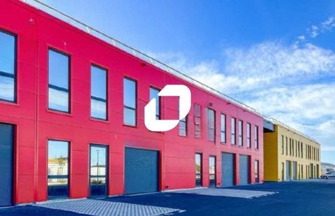 Locaux d'Activit&eacute;s - A LOUER - 166 m&sup2; non divisibles 1669 34200 Sete