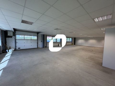 Locaux d'Activit&eacute;s - A LOUER - 407 m&sup2; divisibles &agrave; partir de 182 m&sup2; 3491 67870 Bischoffsheim