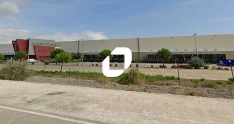 Entrepôts - A LOUER - 49 648 m² divisibles à partir de 12 000 m² 223416 13230 Port saint louis du rhone