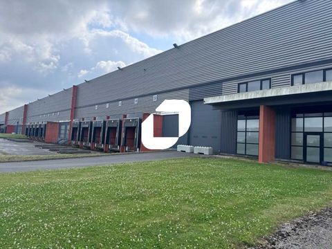 Entrepôts - A LOUER - 12 130 m² divisibles à partir de 5 881 m² 50542 62119 Dourges