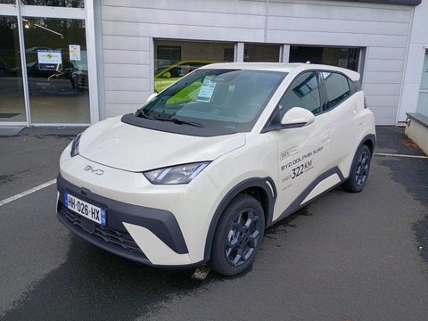 BYD Dolphin Surf 43.2 kWh 88 ch Boost 2025 occasion Ergu&eacute;-Gab&eacute;ric 29500