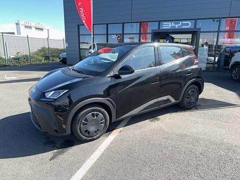 BYD Dolphin Surf 30 kWh 88 ch Active 2026 occasion Beaucouz&eacute; 49070