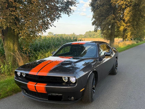 Dodge Challenger V6 3.6 309CH 2016 occasion Gradignan 33170
