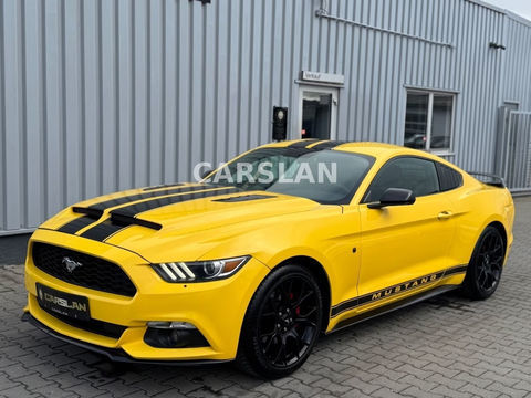 Ford Mustang BVA * Propulsion * LPG * Shelby * Keyless 2017 occasion Lyon 69006
