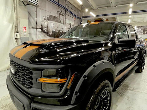 Ford Divers /5.0/V8/4X4/Raptor 2024 occasion Lyon 69006