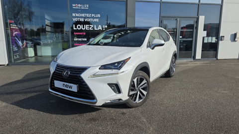 Lexus NX 300h 4WD 2018 occasion Vannes 56000
