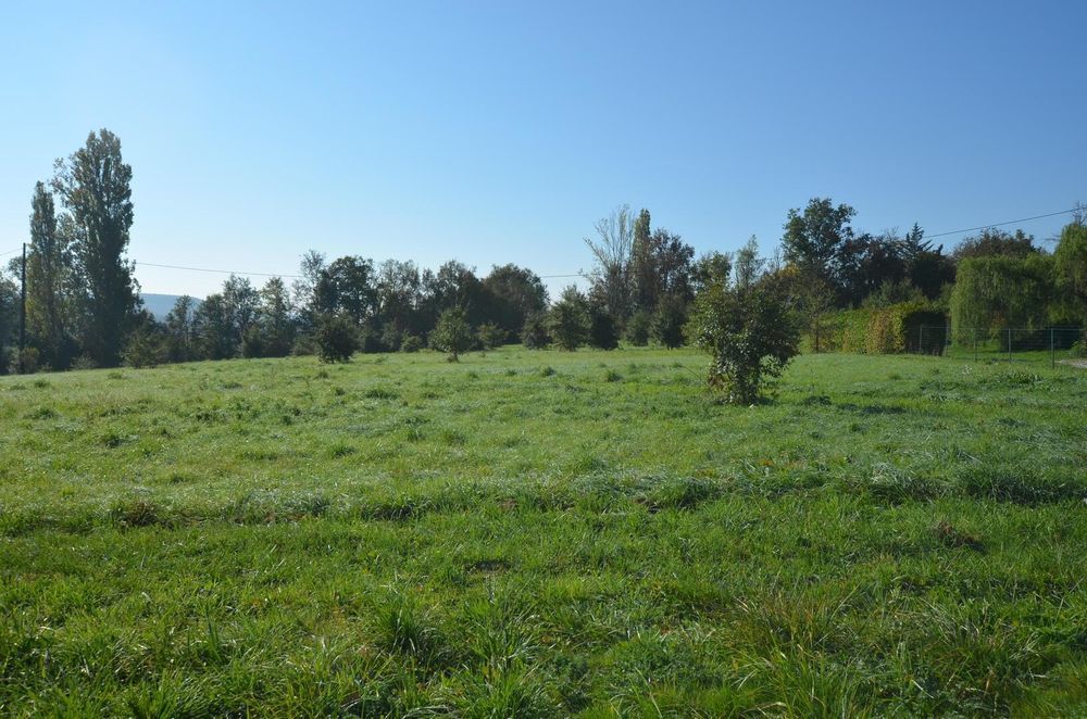 � vendre  Maison Vic-Fezensac (32190)