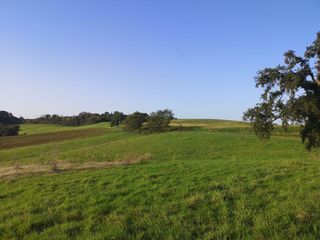  Maison � vendre 6 pi�ces 235 m�