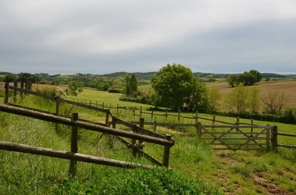 � vendre  Maison Montesquiou (32320)