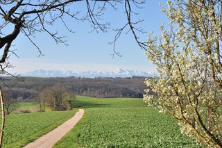  Maison � vendre 10 pi�ces 394 m�