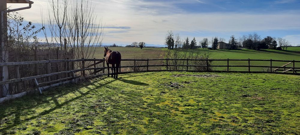 � vendre  Maison Montesquiou (32320)