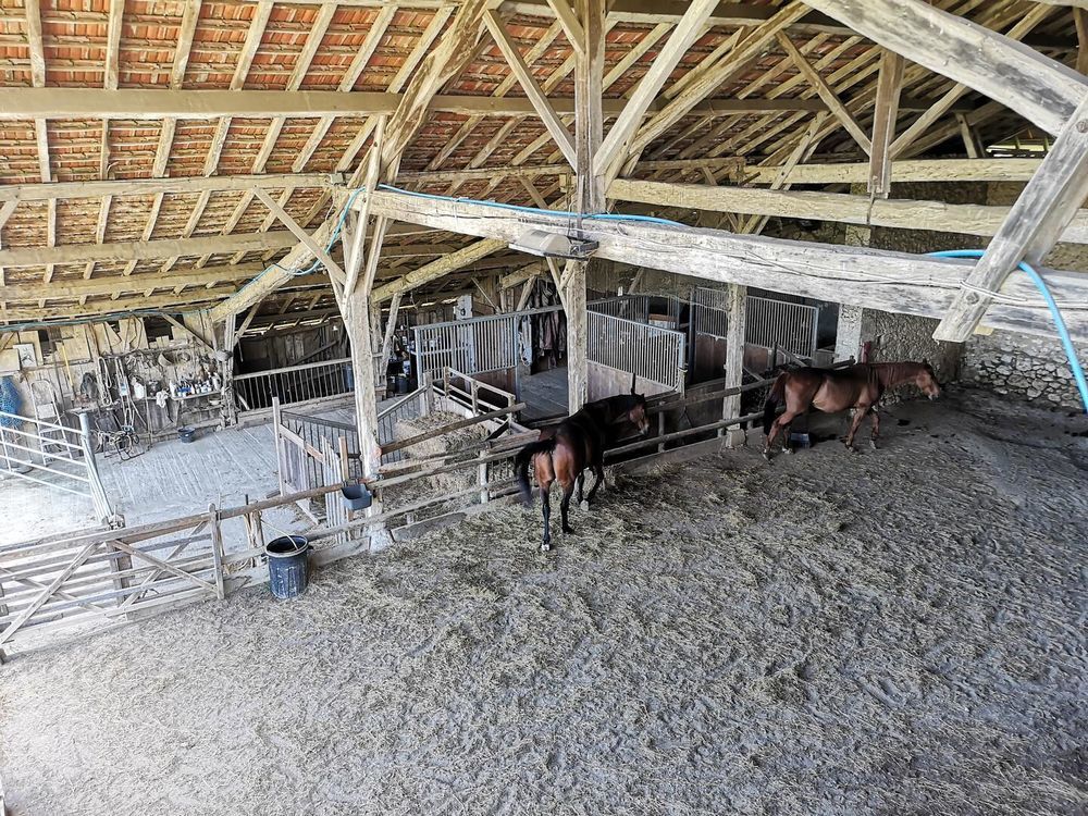 � vendre  Maison Montesquiou (32320)