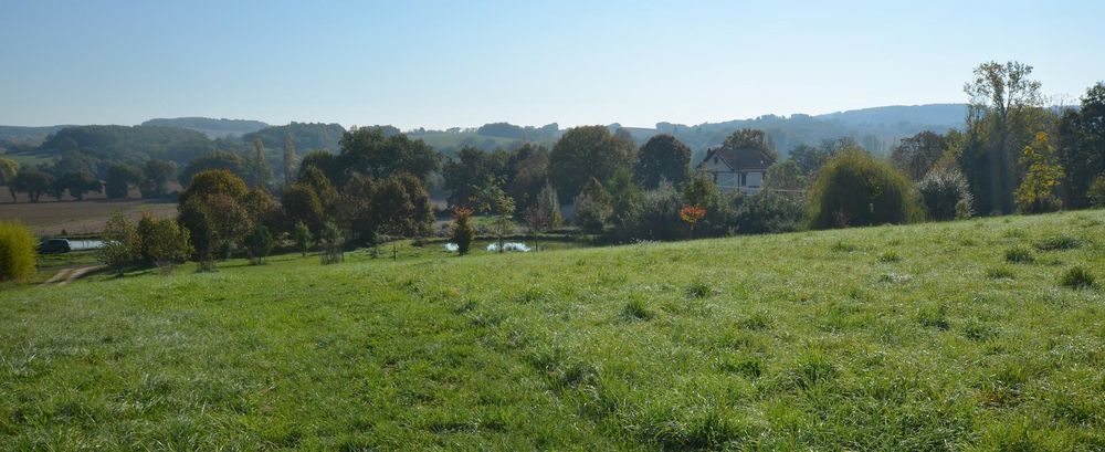 � vendre  Maison Vic-Fezensac (32190)