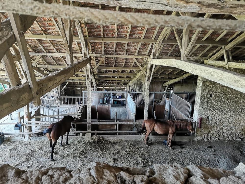 � vendre  Maison Montesquiou (32320)