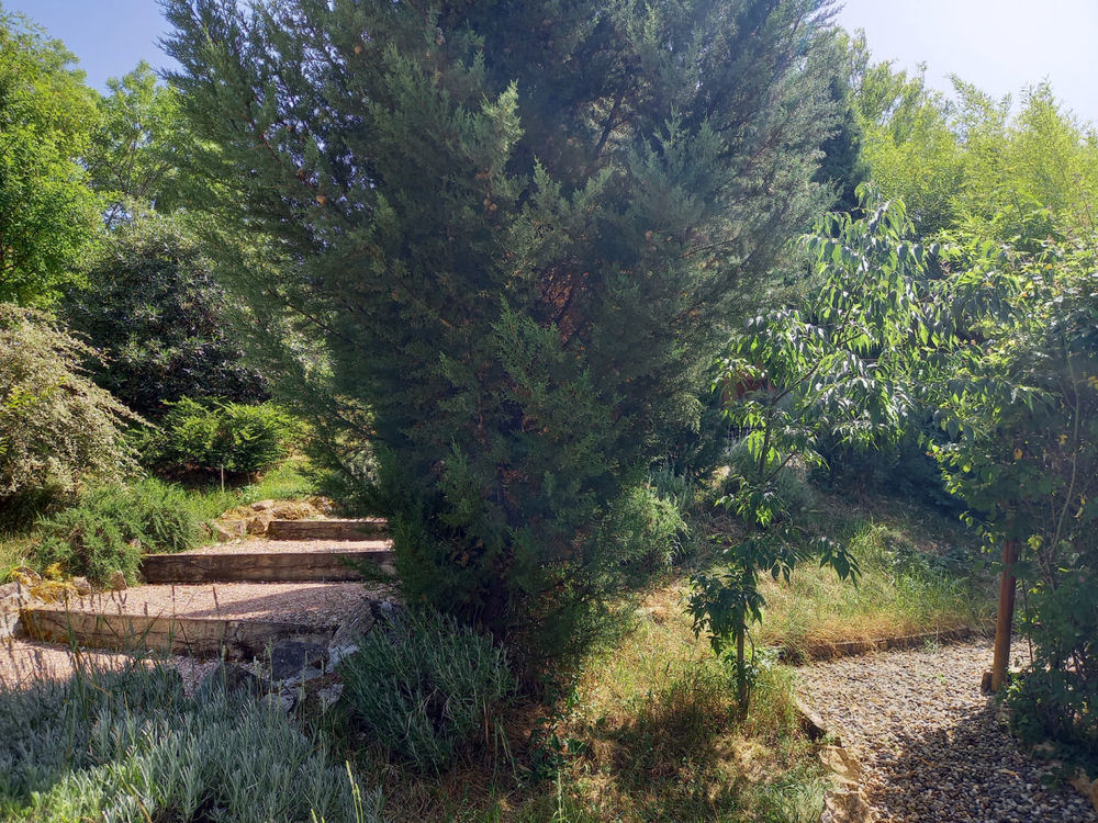 � vendre  Maison Cahors (46000)