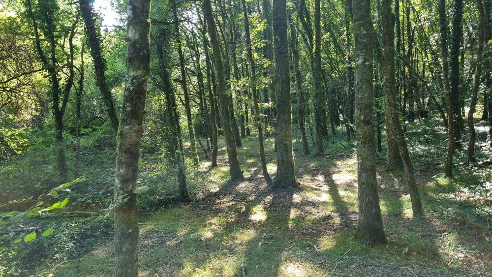 � vendre  Maison Abjat-sur-Bandiat (24300)