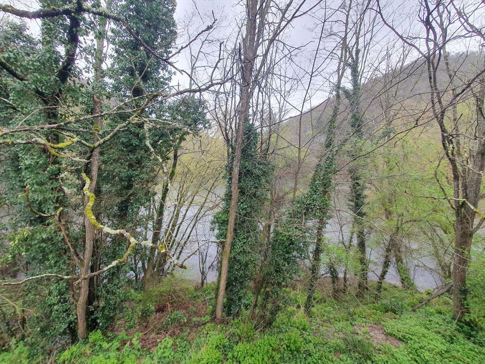 � vendre  Maison Puy-l'�v�que (46700)