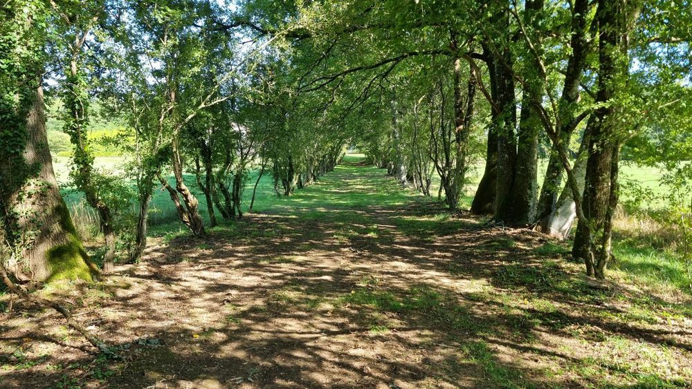 � vendre  Maison Abjat-sur-Bandiat (24300)