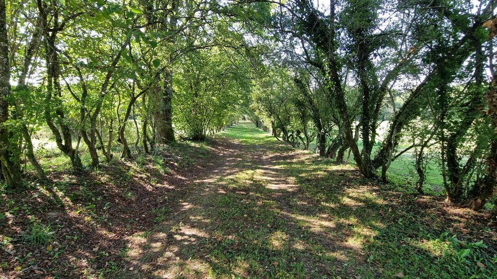 � vendre  Maison Abjat-sur-Bandiat (24300)