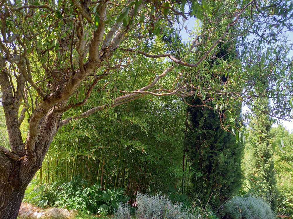 � vendre  Maison Cahors (46000)