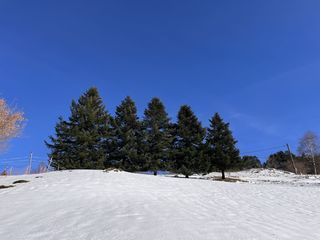  Maison � vendre 5 pi�ces 172 m�