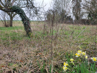  Terrain � vendre 930 m�