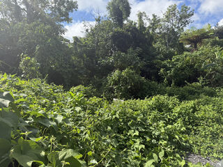  Terrain � vendre 290 m�