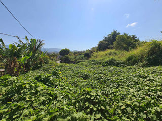  Terrain � vendre 610 m�